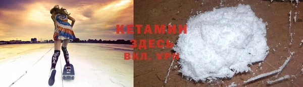 СК Новодвинск