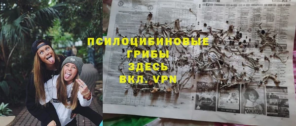 ПСИЛОЦИБИНОВЫЕ ГРИБЫ Болотное